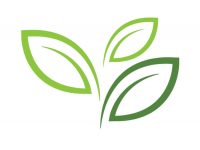 sustainibility sustainibility