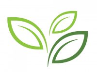 Tree leaf vector logo design Tree leaf vector logo design, eco-friendly concept.